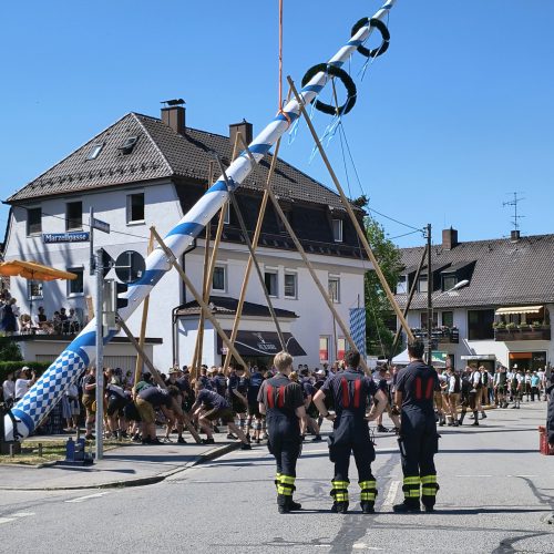 Maibaumaufstellen